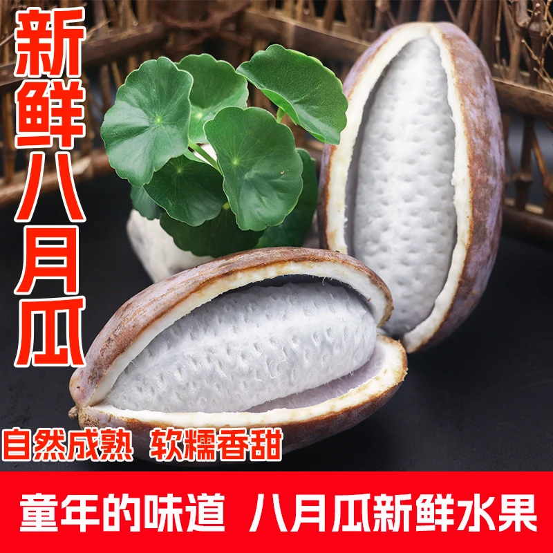 八月瓜水果新鲜8月炸甜瓜当季现摘野香蕉预知子牛卵坨木通果包邮