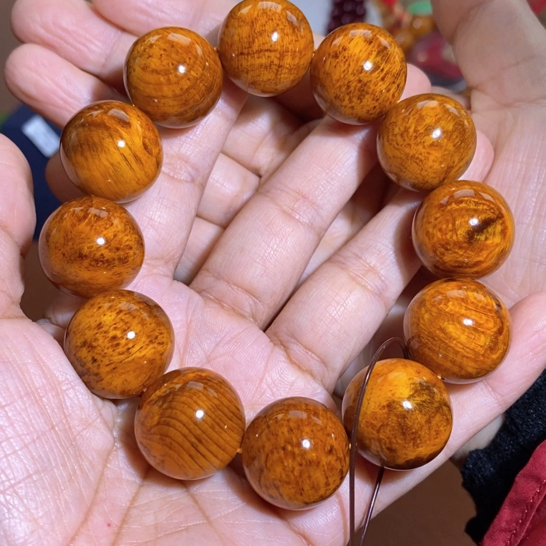 贝壳杉帝王血龙木2.0留疤