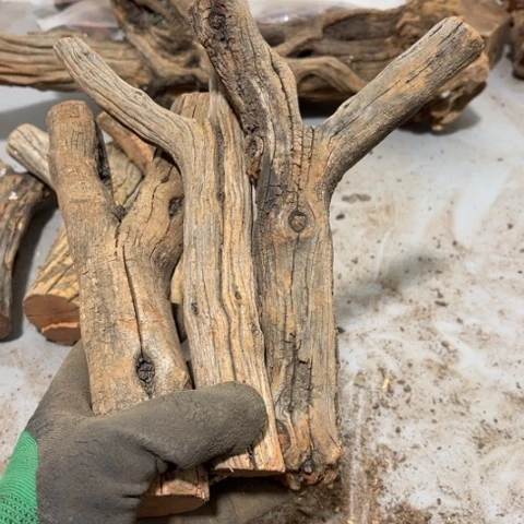 大果紫檀（缅甸花梨）勇**啊