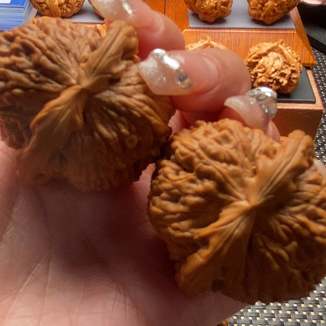 文玩核桃把件41尺寸白狮子