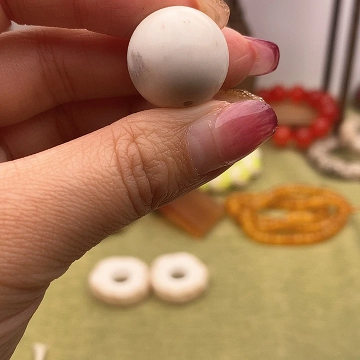 大果紫檀（缅甸花梨）