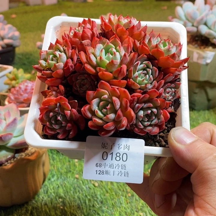 0180啊啊啊啊啊啊啊啊啊