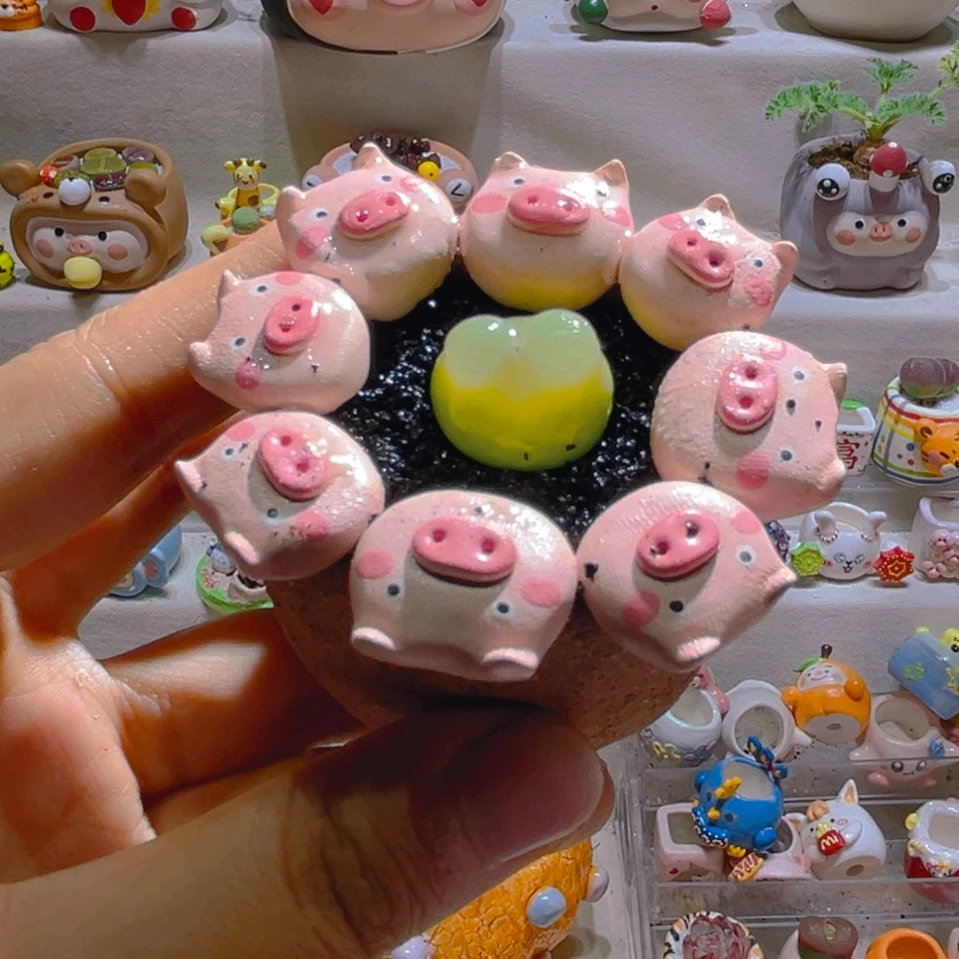 016拉登2厘米带盆土一套138