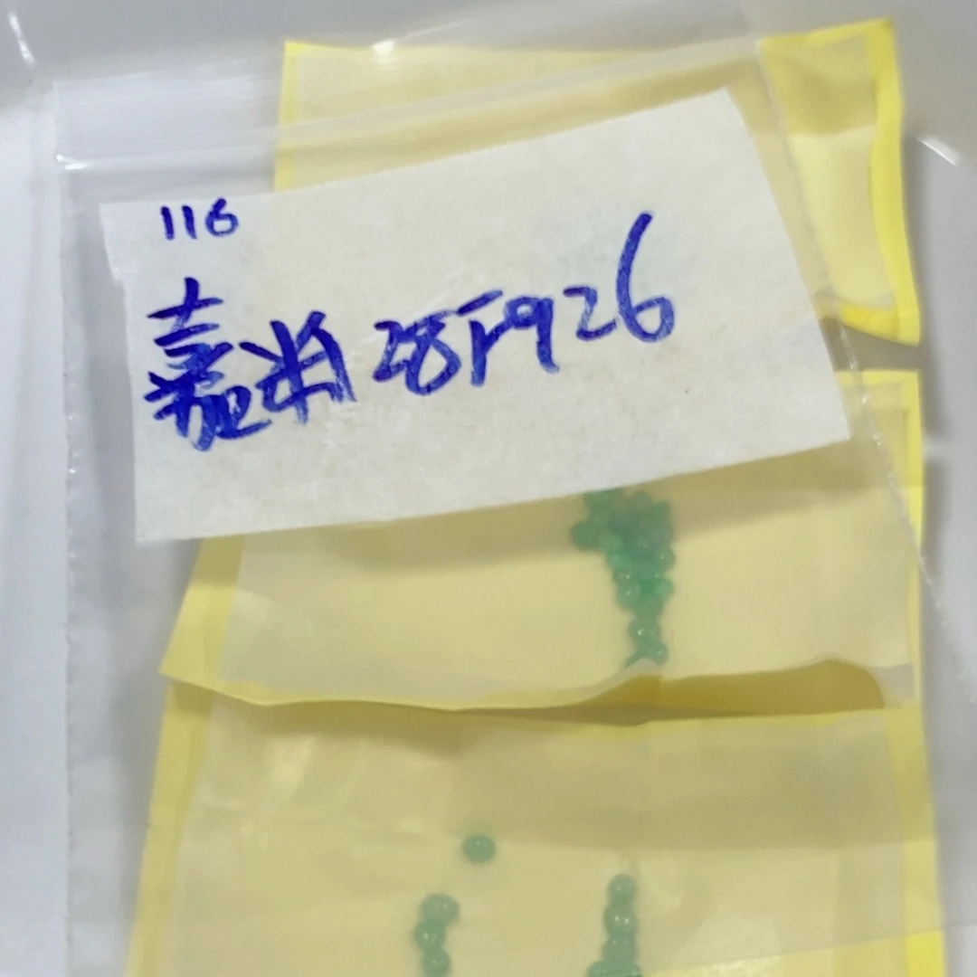 嘉***米定制翡翠未镶嵌不