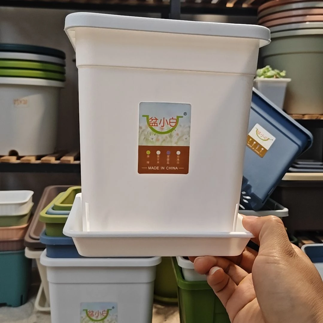 控根方盆外口径16高17，白色带托五个