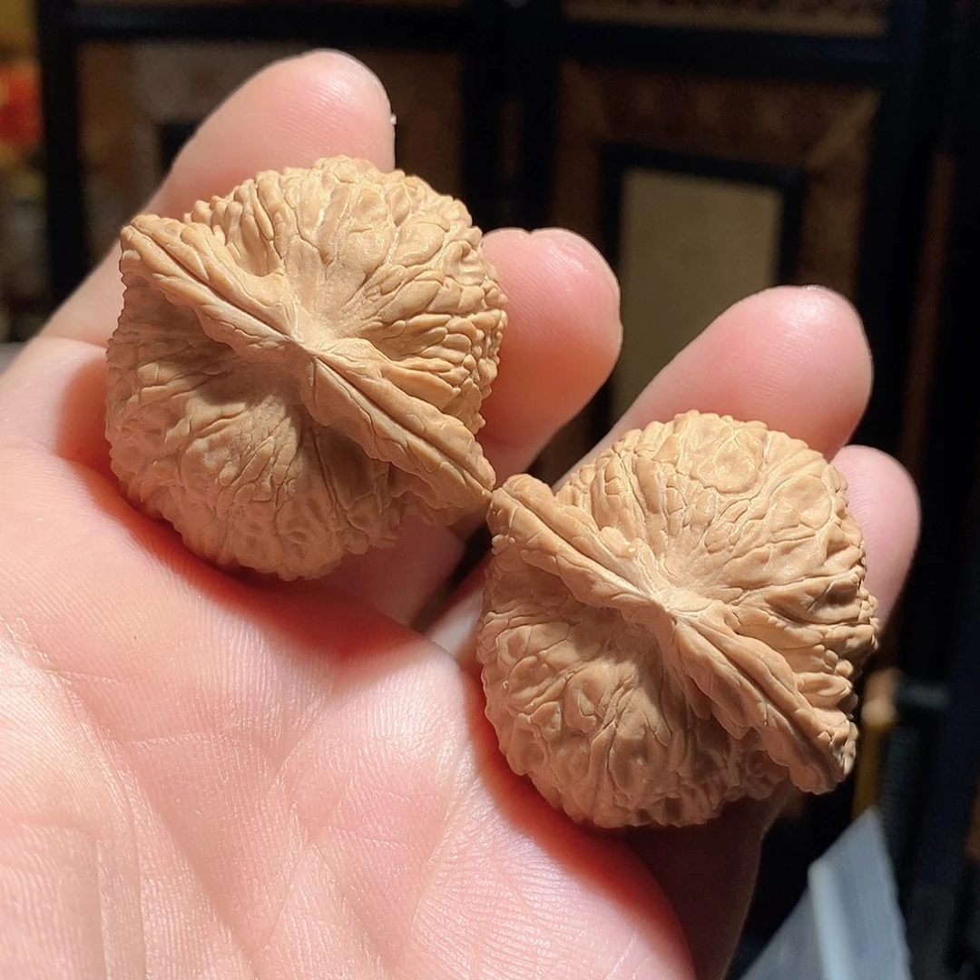 文玩核桃把件39.5白狮子全品