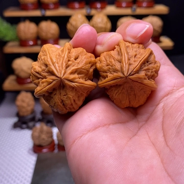 核桃云铁花千骨四棱57号