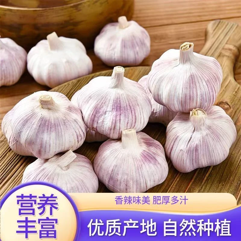 河南正宗紫皮紫白皮独头干蒜农家自种高品质可吃可种大蒜