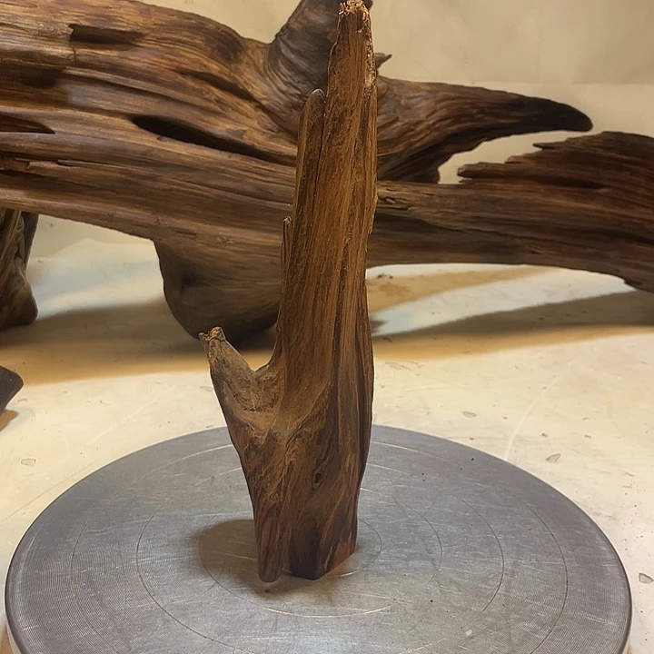 无***哥木直播间一物一拍