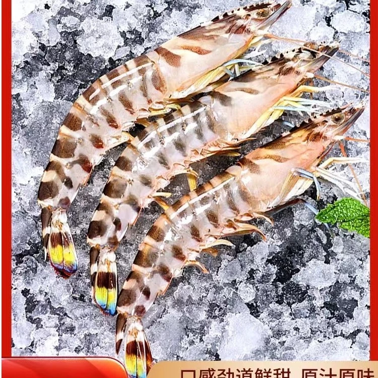 野生竹节虾/斑节虾花虾 2斤（每斤40-50只）鲜虾速冻顺丰冷链发货