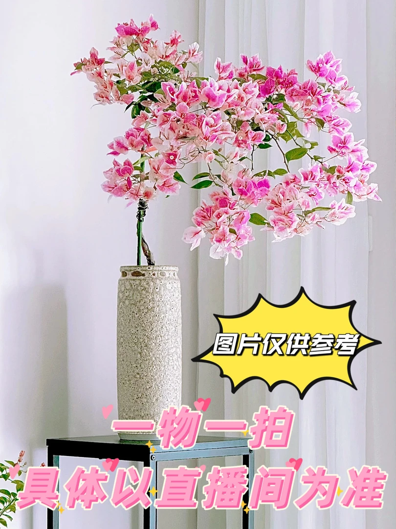 【一物一拍49】勤花三角梅带陶瓷盆带花发货