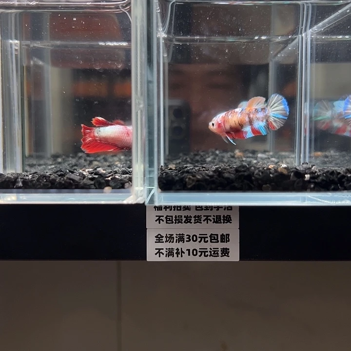 斗鱼满30包邮11日90+119