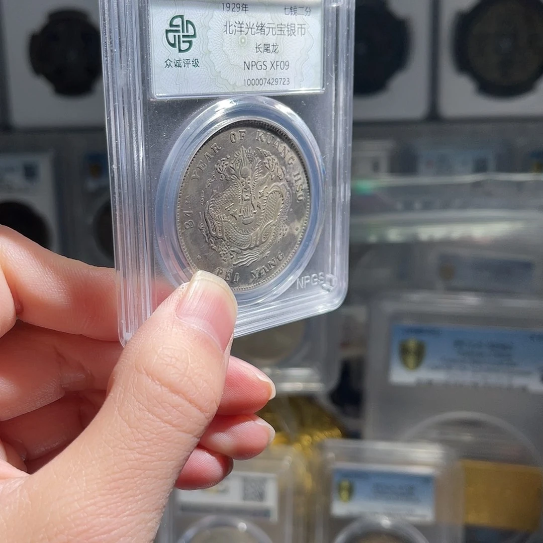 银驰***哥北洋短尾龙保真1枚星星绿