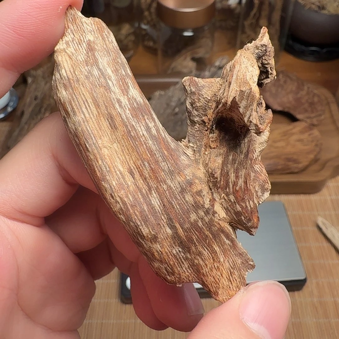 沉香老挝树心虫漏料子