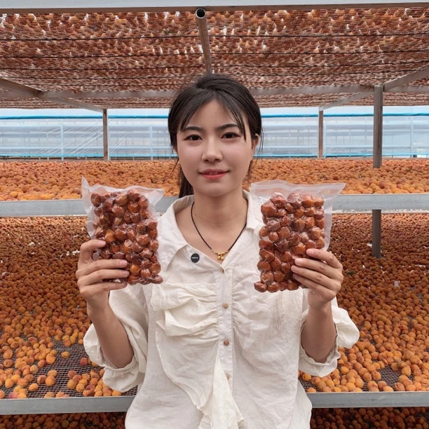 新疆四团吊干杏无添加偏甜孕妇可吃杏干