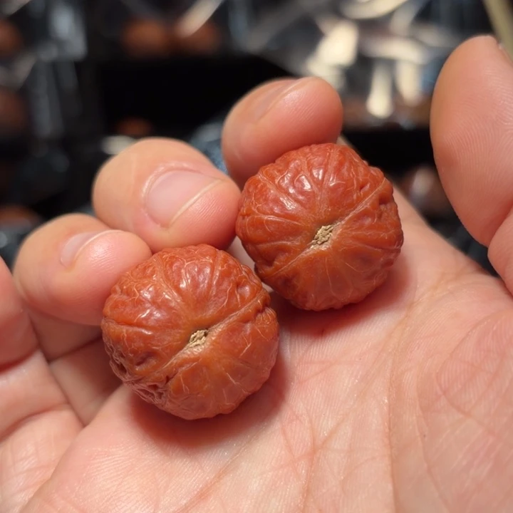 文玩核桃吊坠迷你l汤圆7203