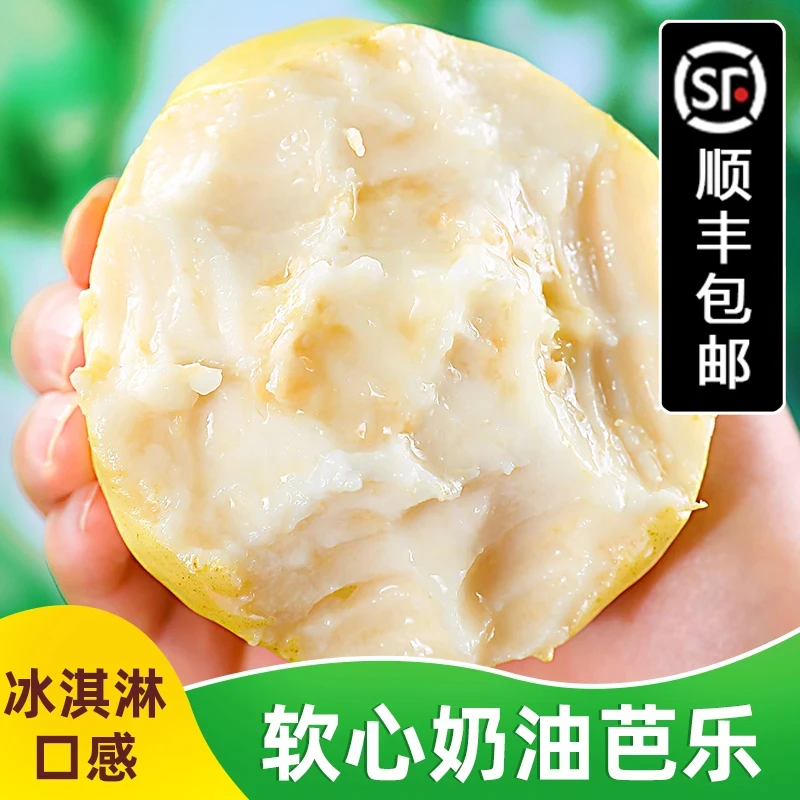 【顺丰包邮】正宗广东白心芭乐软糯软心奶油孕妇水果番石榴甜批发