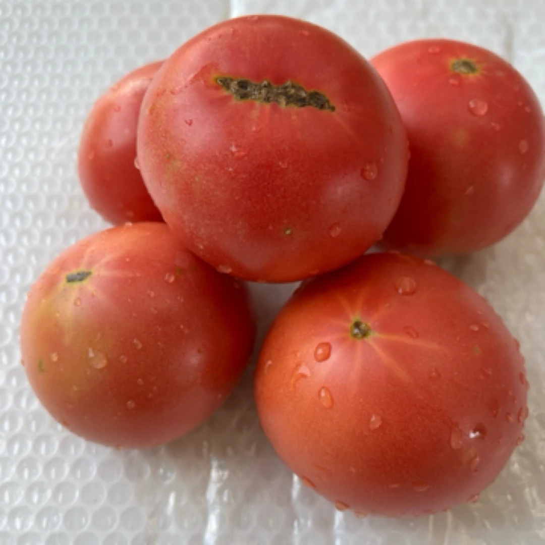 【顺丰快递】小满家菜柿子自然成熟适合做汤热炒西红柿拌白糖新鲜北京市