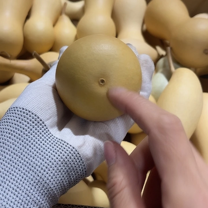 我****浪这种天气还穿的很有