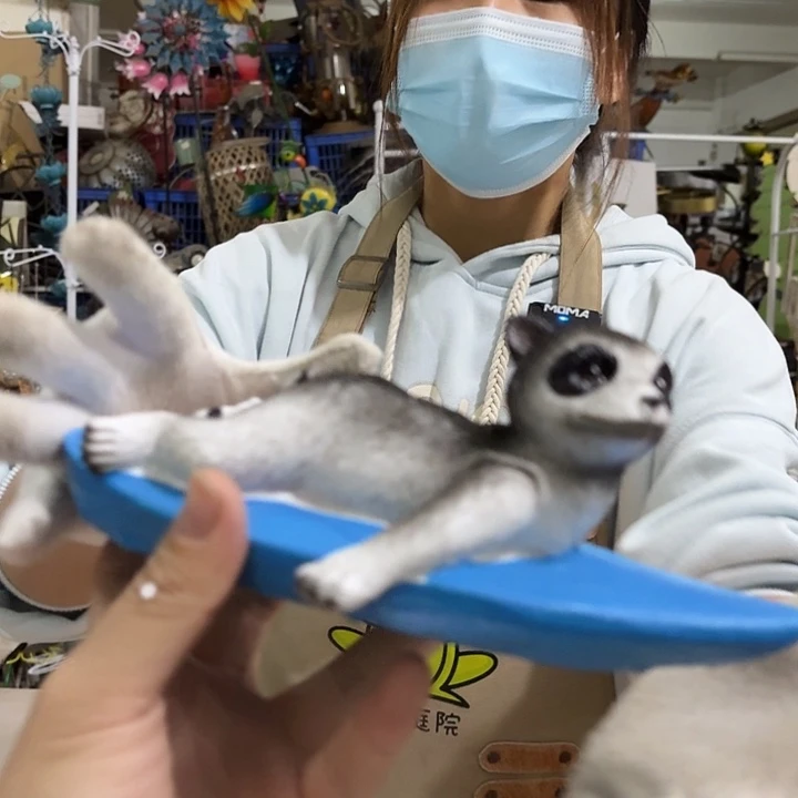 核桃木/黑胡桃（胡桃木）