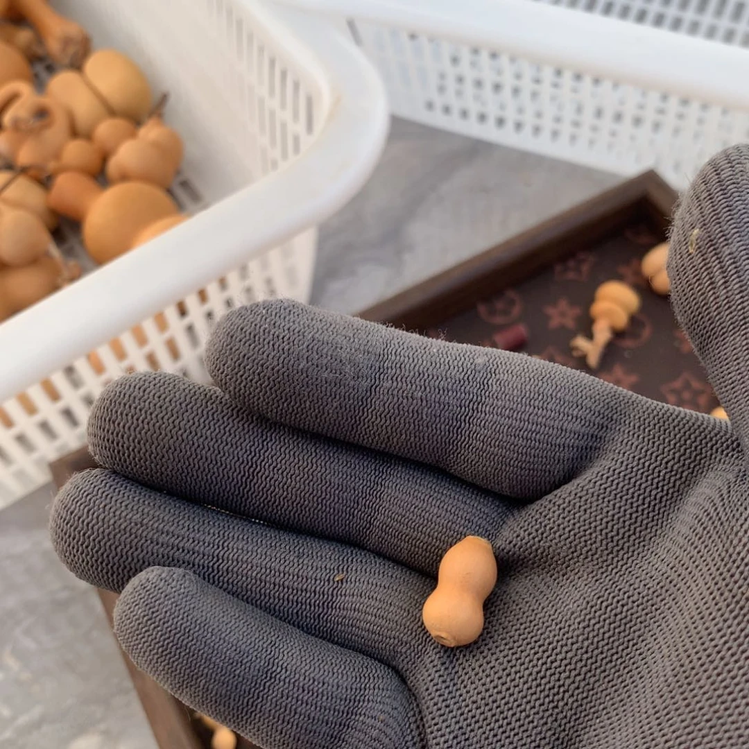 D***⁴啊啊啊啊啊啊啊啊啊啊