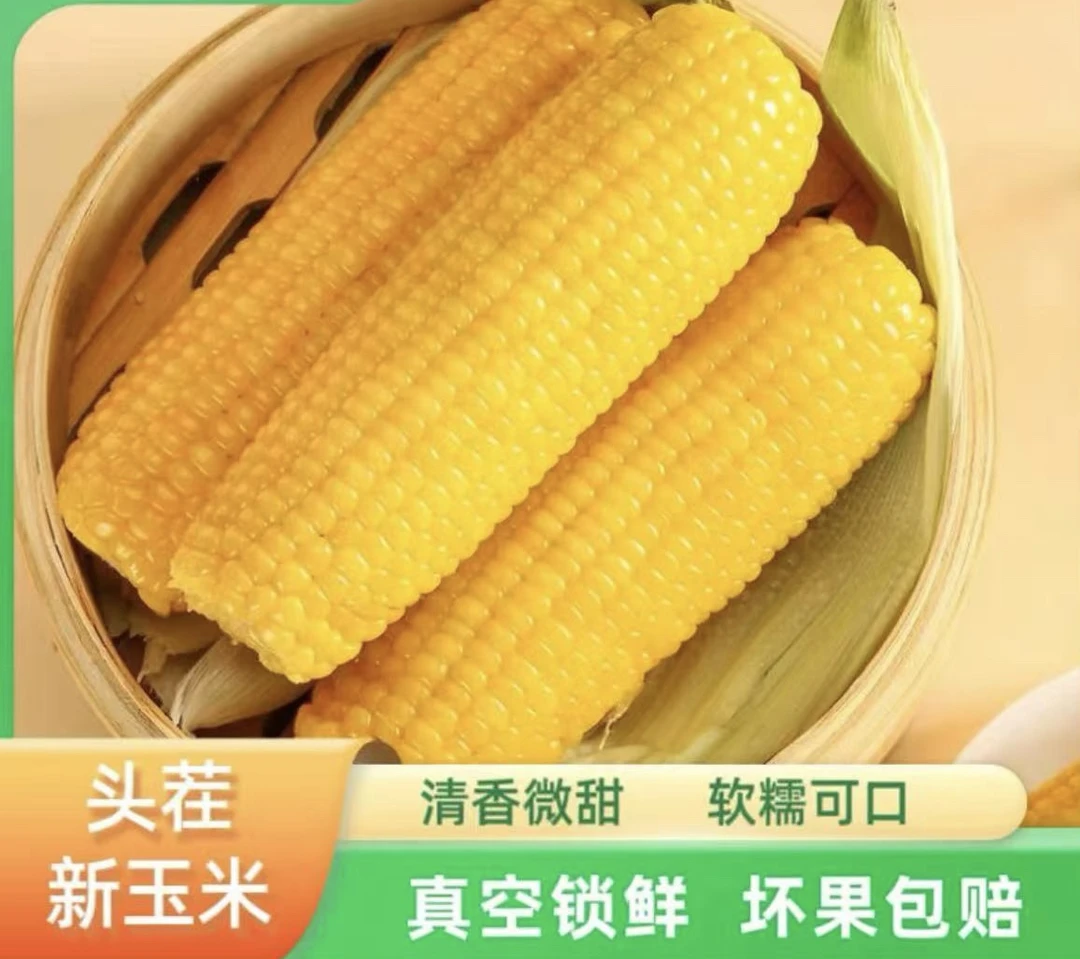 金糯262大棒新加工精选大棒黄糯玉米10支6斤试吃2支