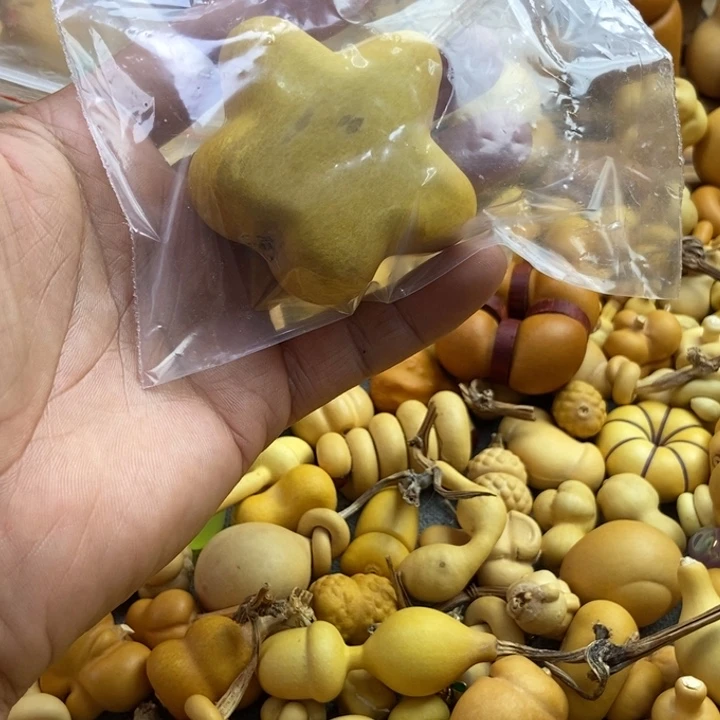 無***星星有伤不退换111