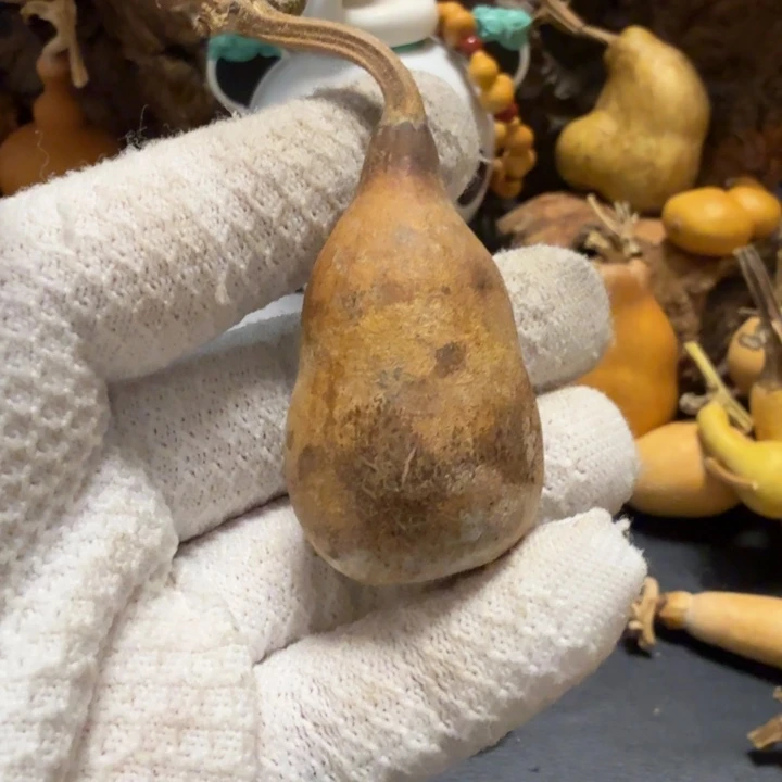 1***道66666677777777888899