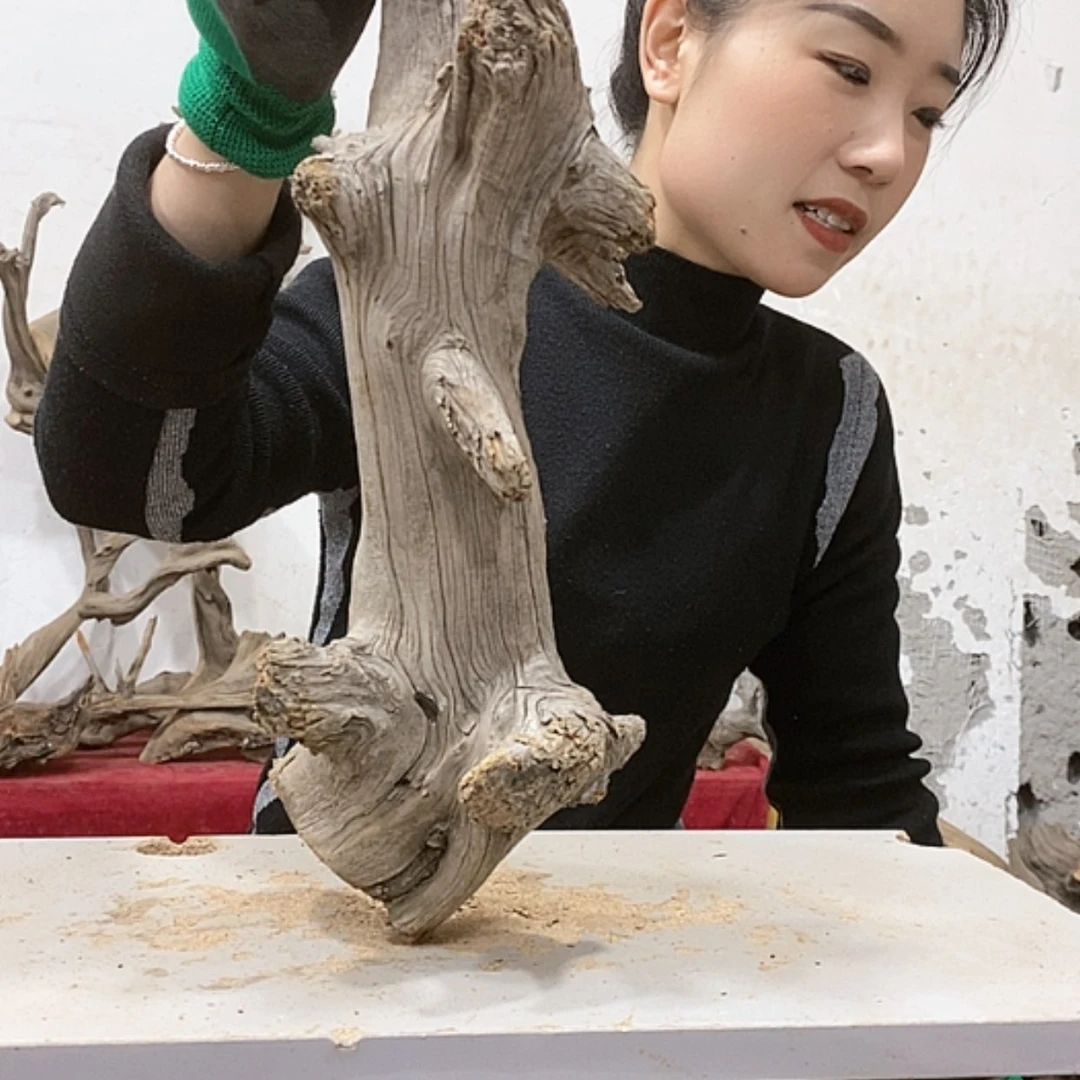 【闪购商品】柏木落**悔我们都是好孩子