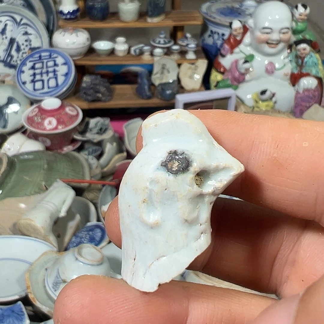 瓷片瓷片标本，全场包邮