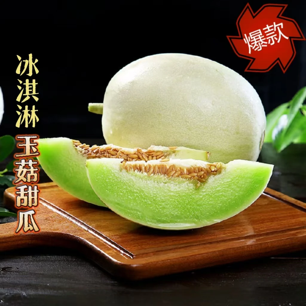 山东头茬玉菇甜瓜4.5-5斤冰激凌甜瓜新鲜应季水果老人小孩孕妇