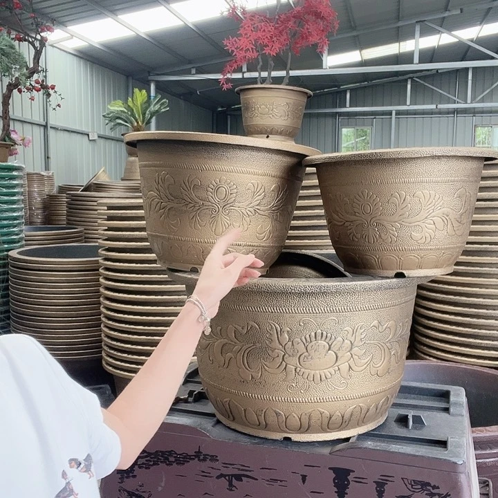 盆景88668555888569558