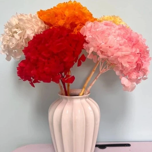 【永生花绣球批发】红色系家居装饰｜轻奢ins风客厅玄关客厅摆件摆件