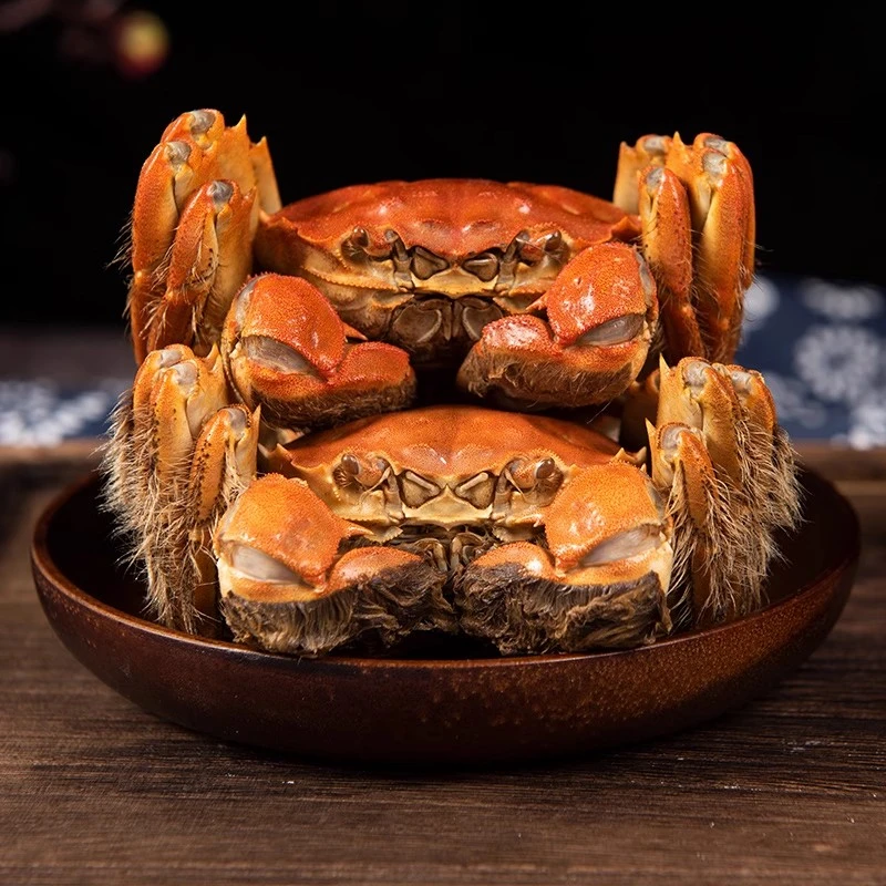 【活蟹】洪泽湖大闸蟹公4只3.2两起+母4只2.2两起=共8只