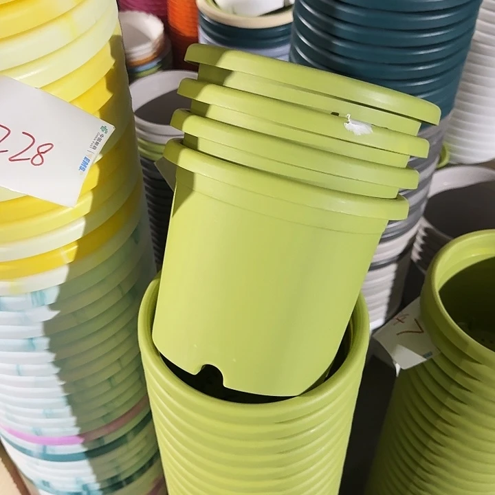 瑕疵3#口径21果绿10个无托