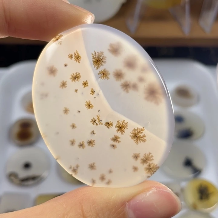 未镶嵌玛瑙象形福利款玛瑙/玉髓