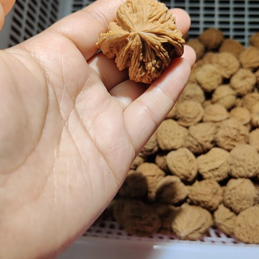 放***牛南疆石狮子头一物一图