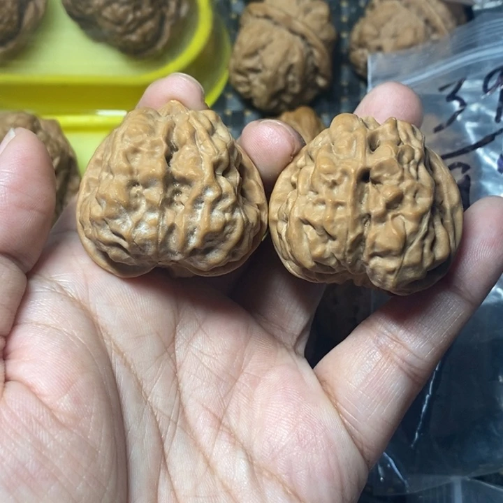 文玩核桃把件蛤蟆39