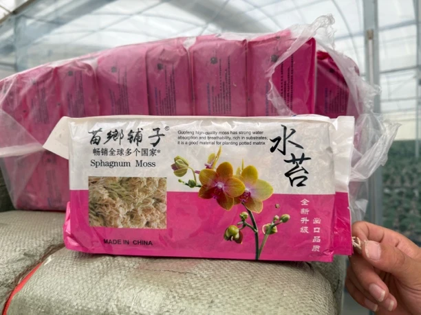 蝴蝶兰花专用无菌特级辐照干水苔可用于蝴蝶兰种植