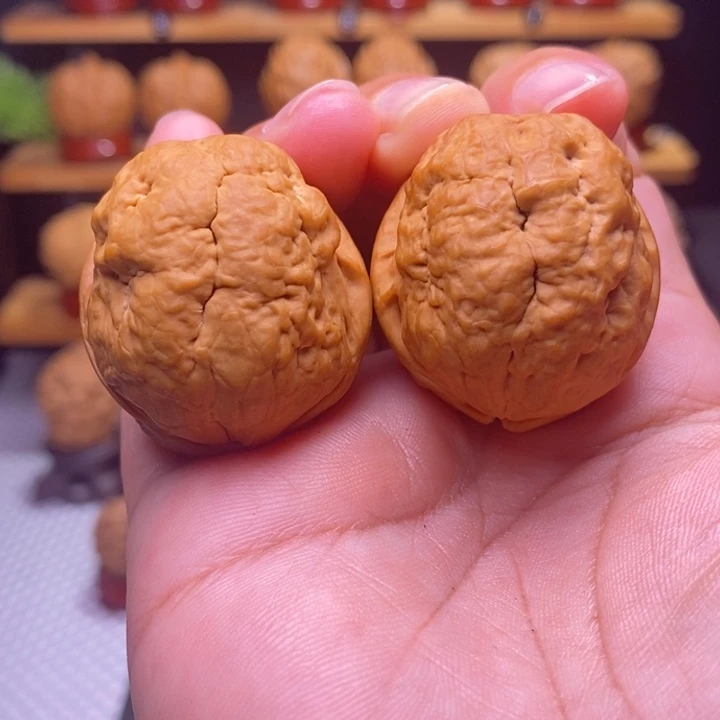 核桃云铁肌肉达摩37号