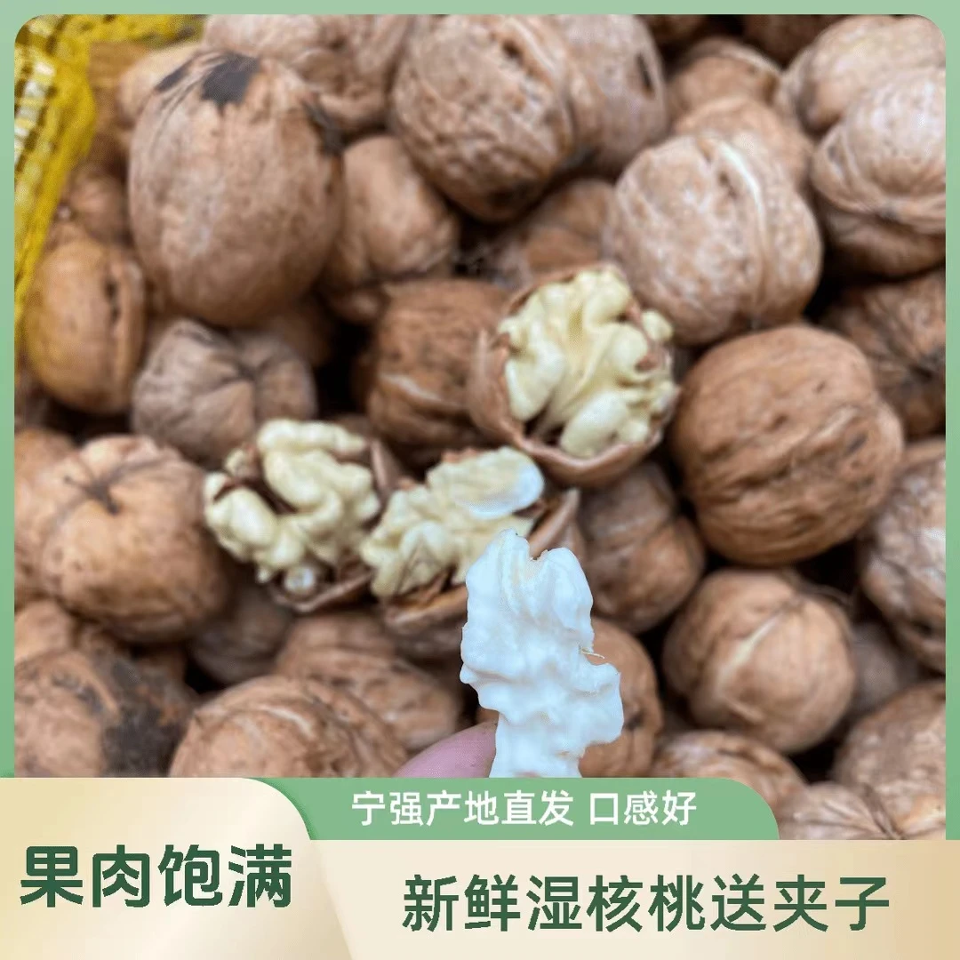 陕西宁强去皮新鲜核桃2025老核桃又油又香5斤包邮