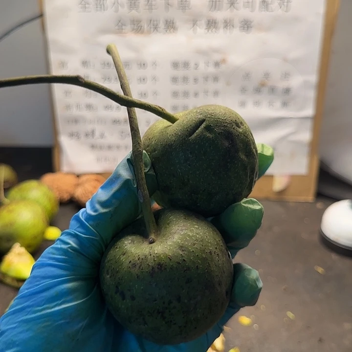吊坠文玩核桃白狮子大2颗