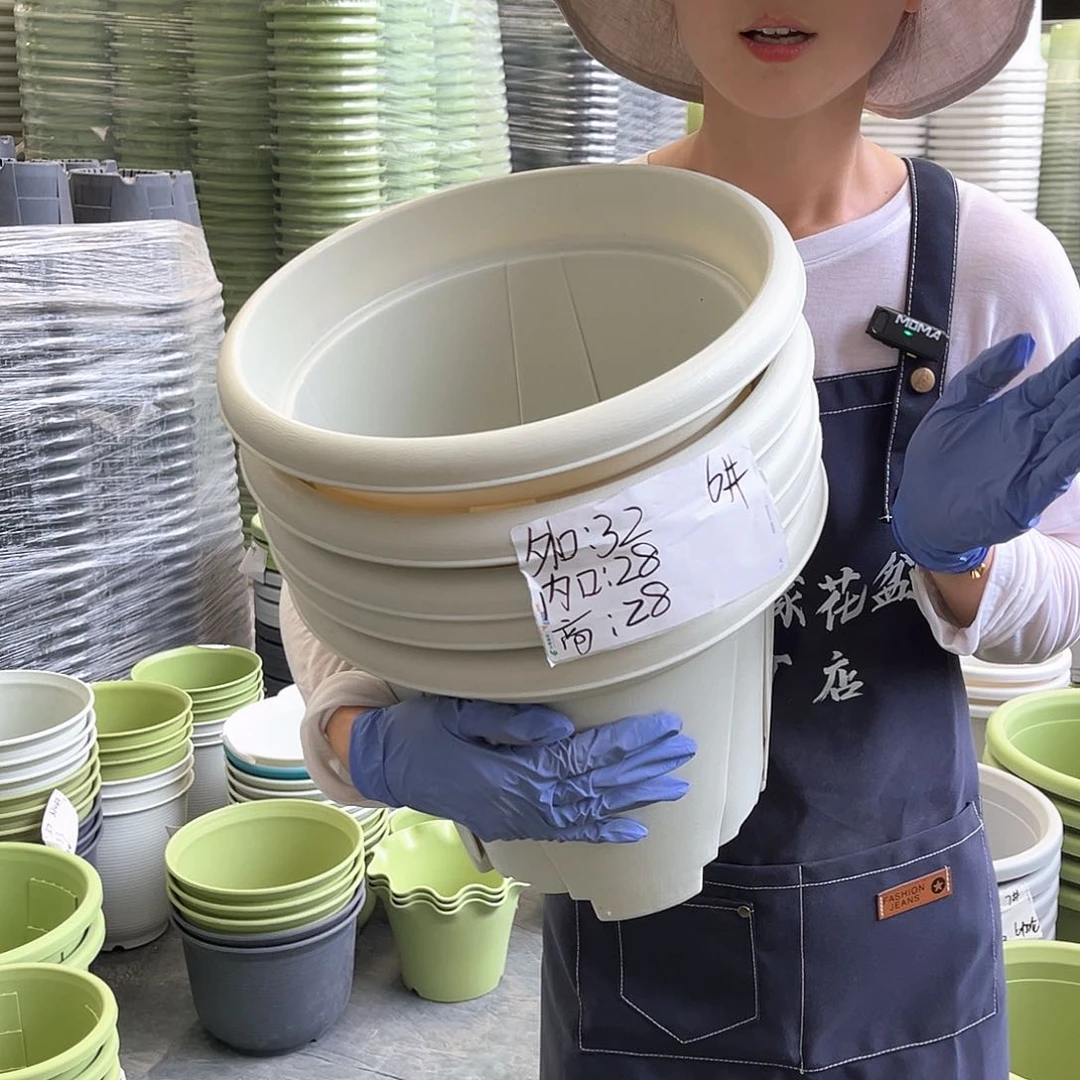青山盆6#米白色5个无托