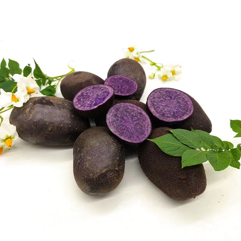 【五件包邮】新鲜现挖黑土豆富含花青素紫皮紫土豆黑美人