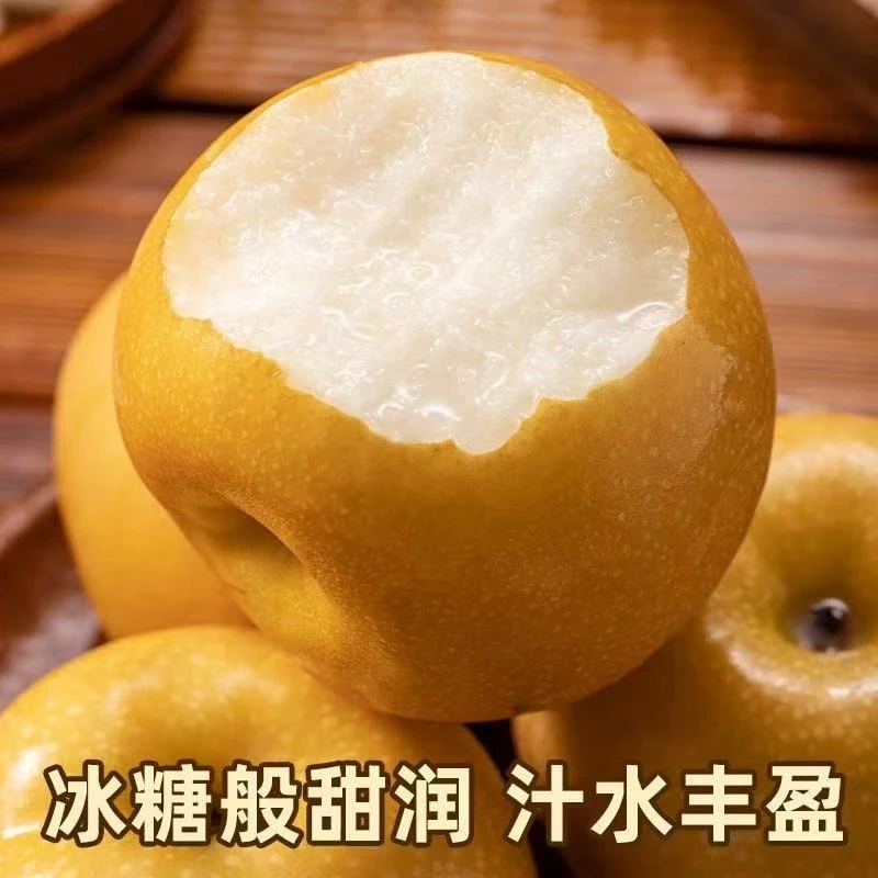 正宗头茬山东新鲜秋月梨8月当季水果脆甜多汁中秋礼应季特大果