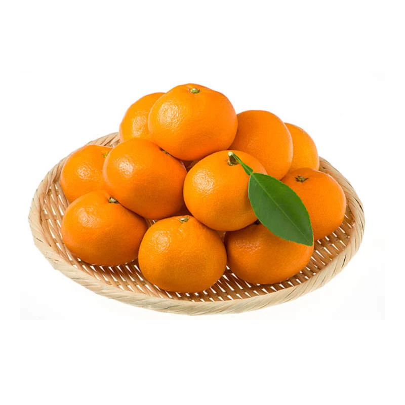 涌泉蜜橘 约500g