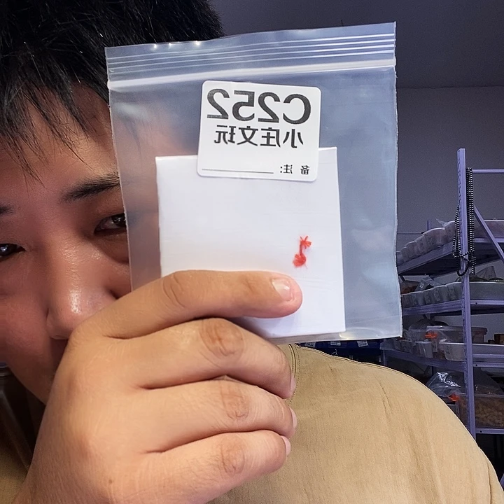 【闪购商品】冰*黑檀木252