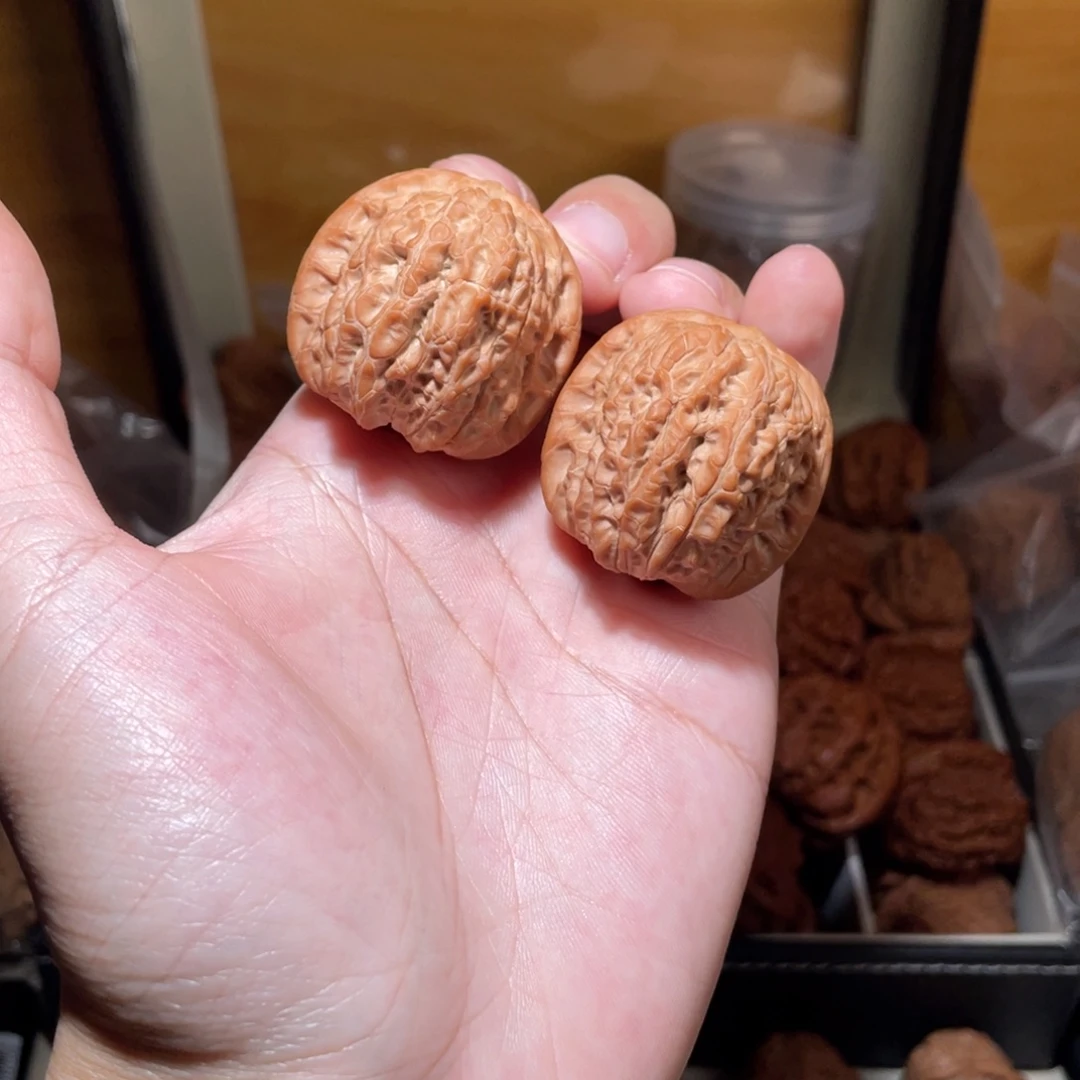 37尺寸全品无修血麒麟