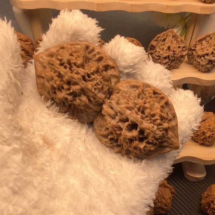 L****e秦岭野生秦公子43尺