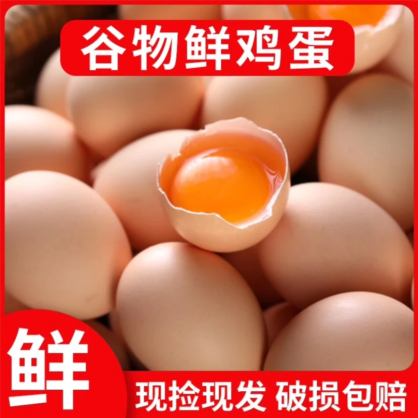 新鲜谷物蛋谷物喂养天然健康柴鸡蛋笨鸡蛋单枚40g左右50枚包邮